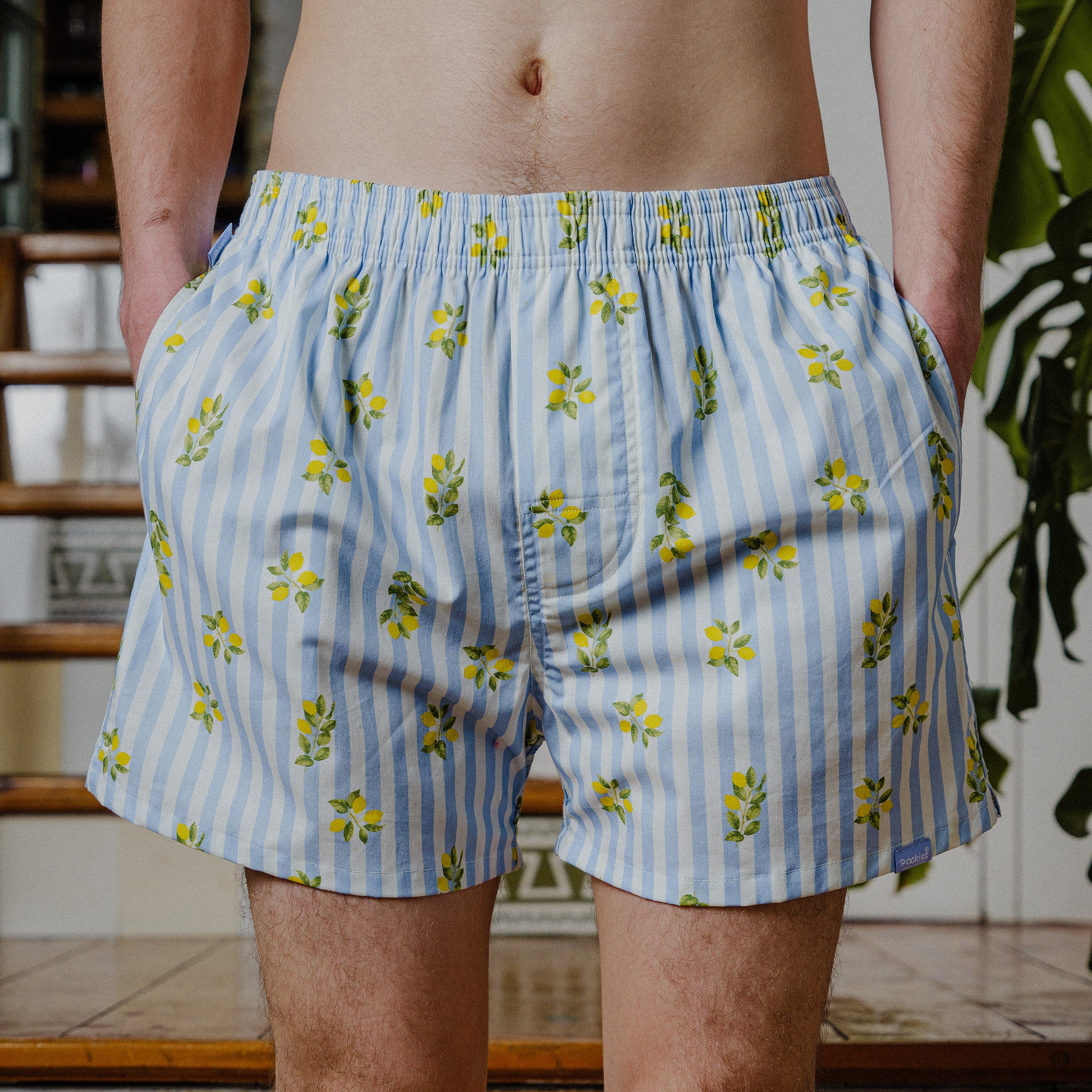 Miniatuur 2